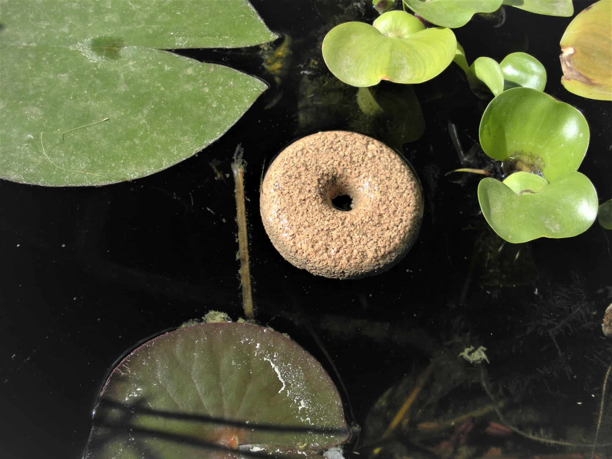 A close-up photograph of BTI mosquito dunks on a potting bench next to a small watering can, ready to be used for fungus gnat control