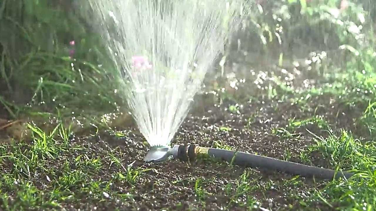 A lawn sprinkler watering a newly overseeded lawn in the early morning, with fine water droplets catching sunlight
