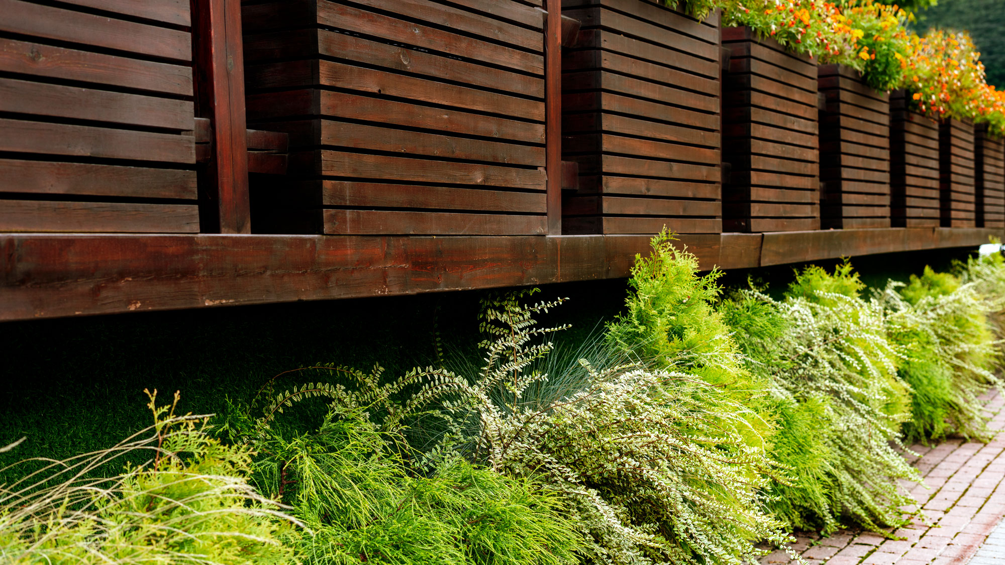 A real backyard scene showing a shaded area under a wooden deck with leaf litter and a pet resting spot, a common flea-friendly zone